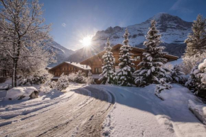 Гостиница Chalet D  Гриндельвальд